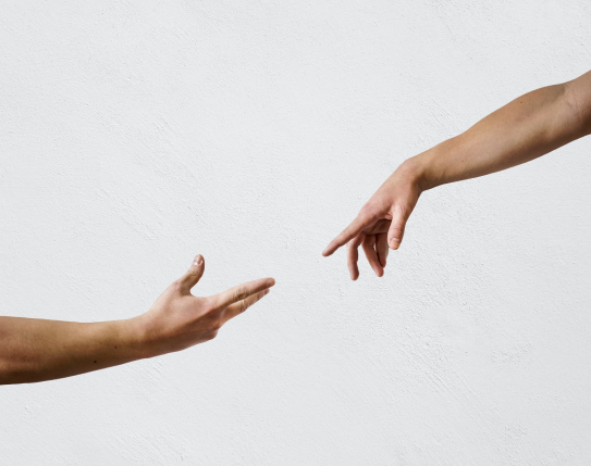 realizacja strony www Cogito Rzeszów