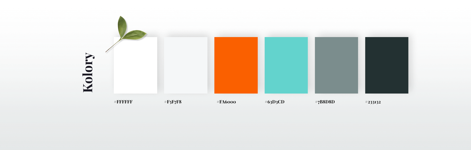 realizacja strony www Cogito Rzeszów