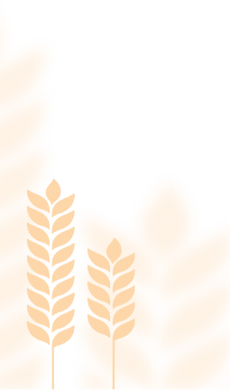 strona lwowski baciar