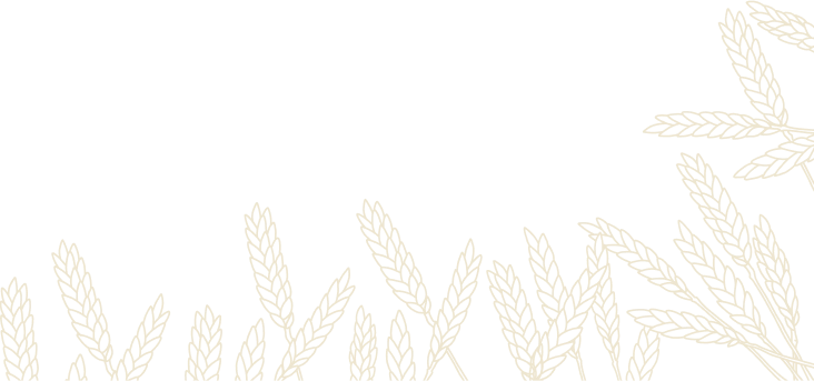 strona stary browar rzeszowski