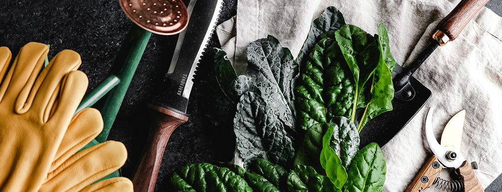 Efektywność SEO w branży ogrodniczej - przekształcanie strony w narzędzie sprzedaży