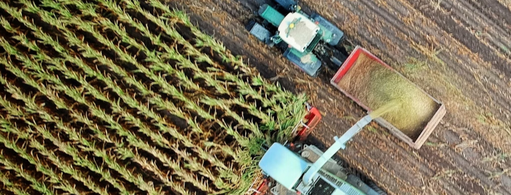 Wykorzystanie GPT w analizie danych z sektora rolnictwa