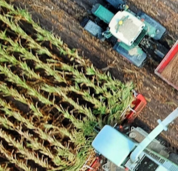 Wykorzystanie GPT w analizie danych z sektora rolnictwa